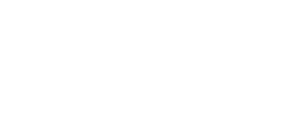 Suede Logo